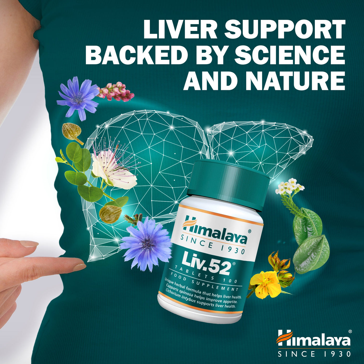 Himalaya Liv.52 - 100 Tablets-1