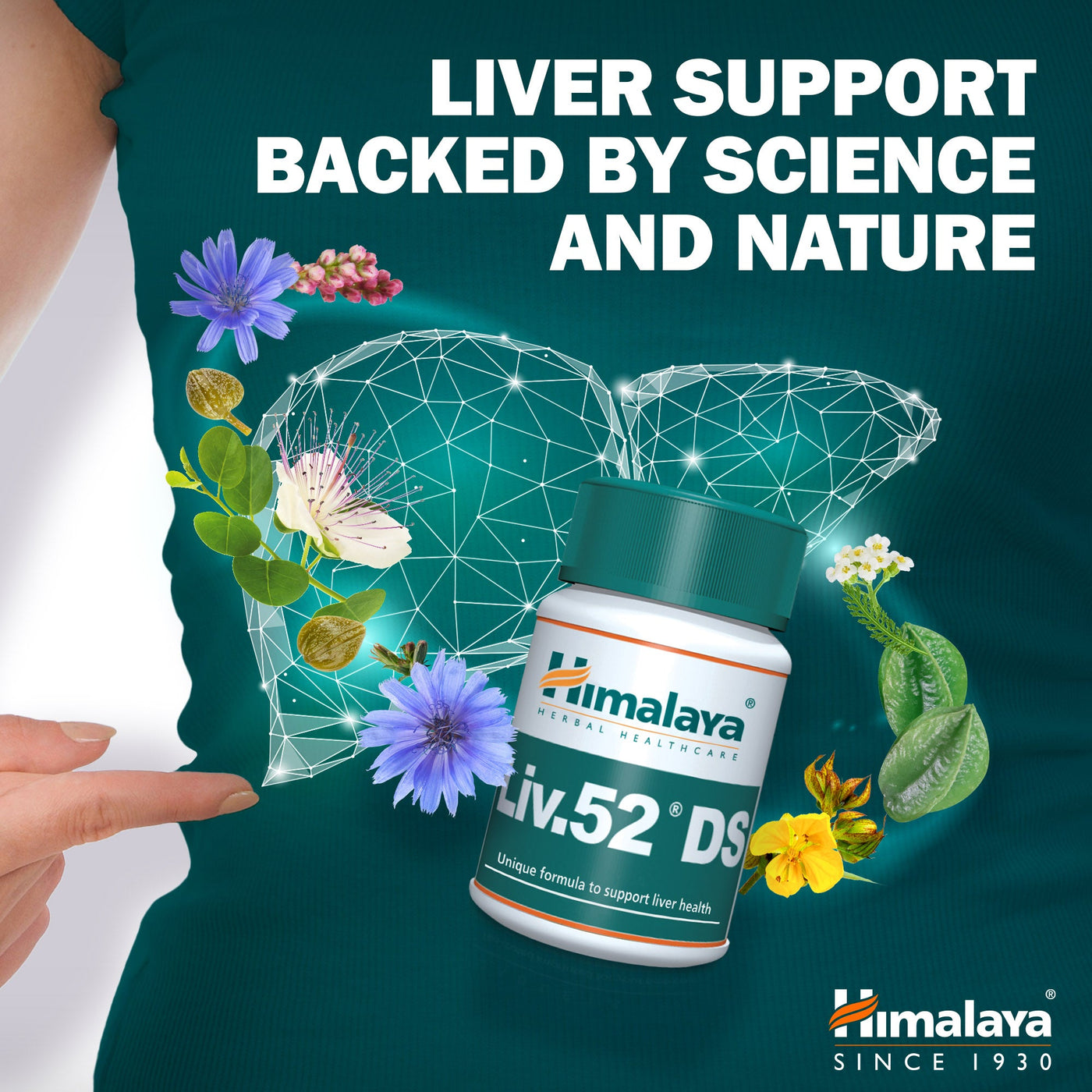 Himalaya Liv.52 DS - 60 Tablets-1