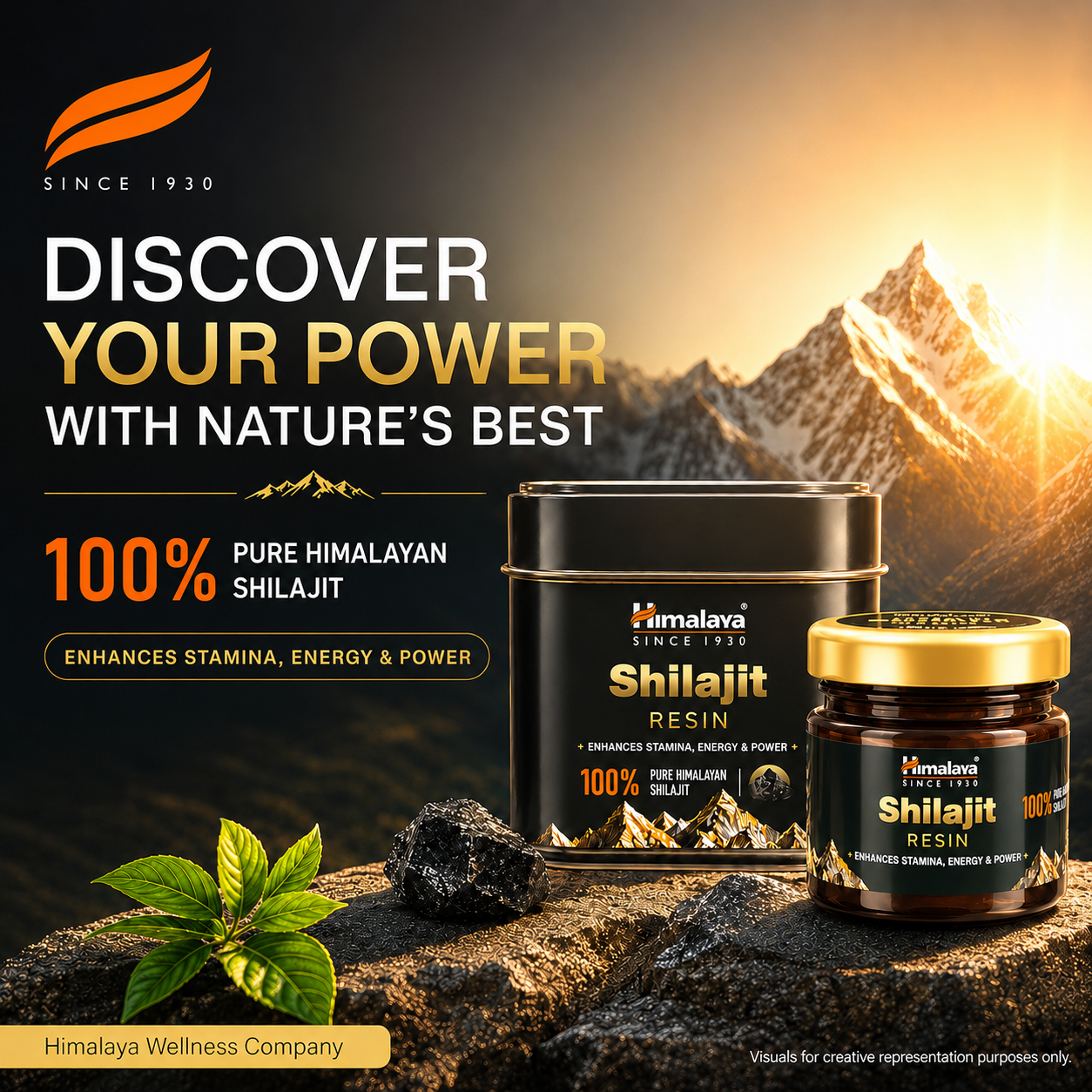 Himalaya SHILAJIT RESIN-1