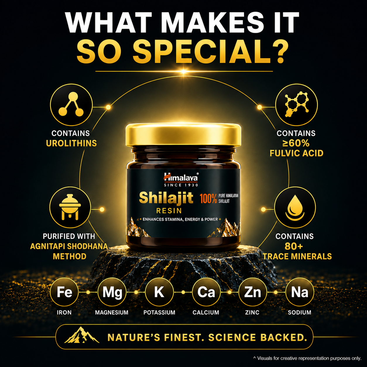 Himalaya SHILAJIT RESIN-2