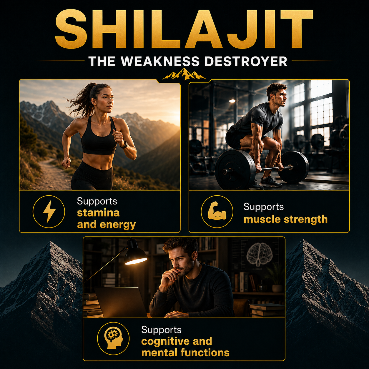 Himalaya SHILAJIT RESIN-3