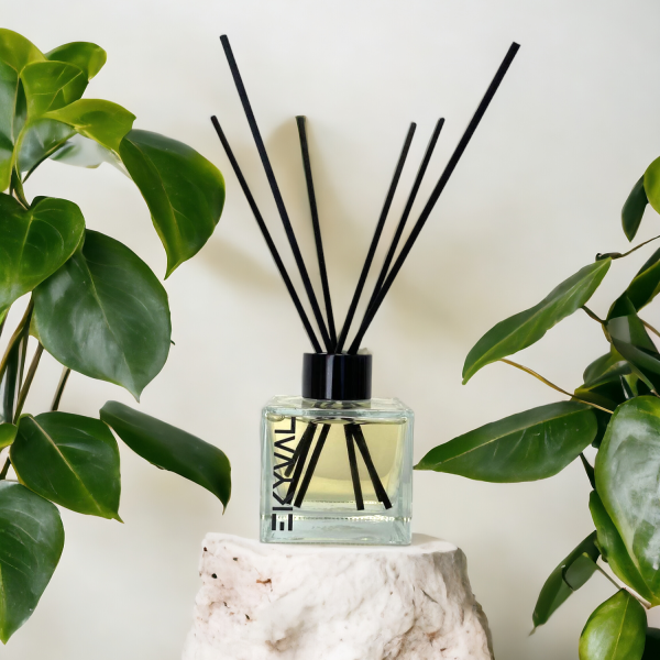 Cinnamon - Mikado Air Freshener - 100ml