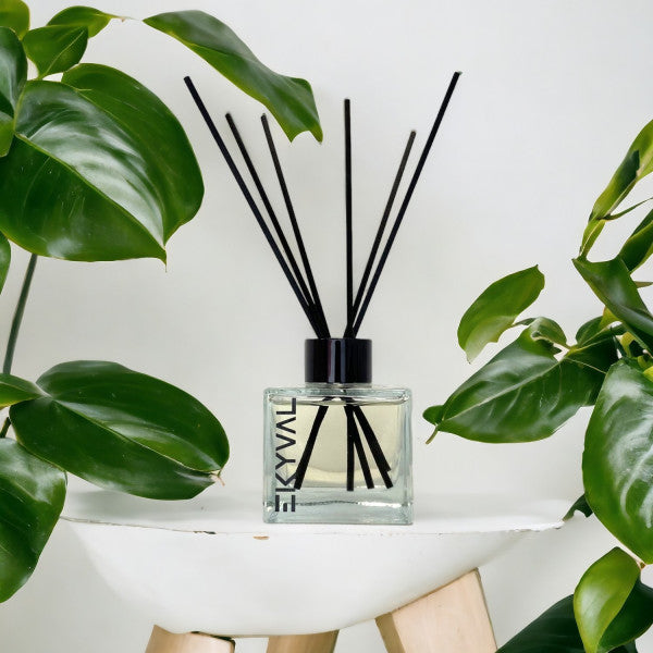 Répulsif Insectes - Mikado Désodorisant - 100ml