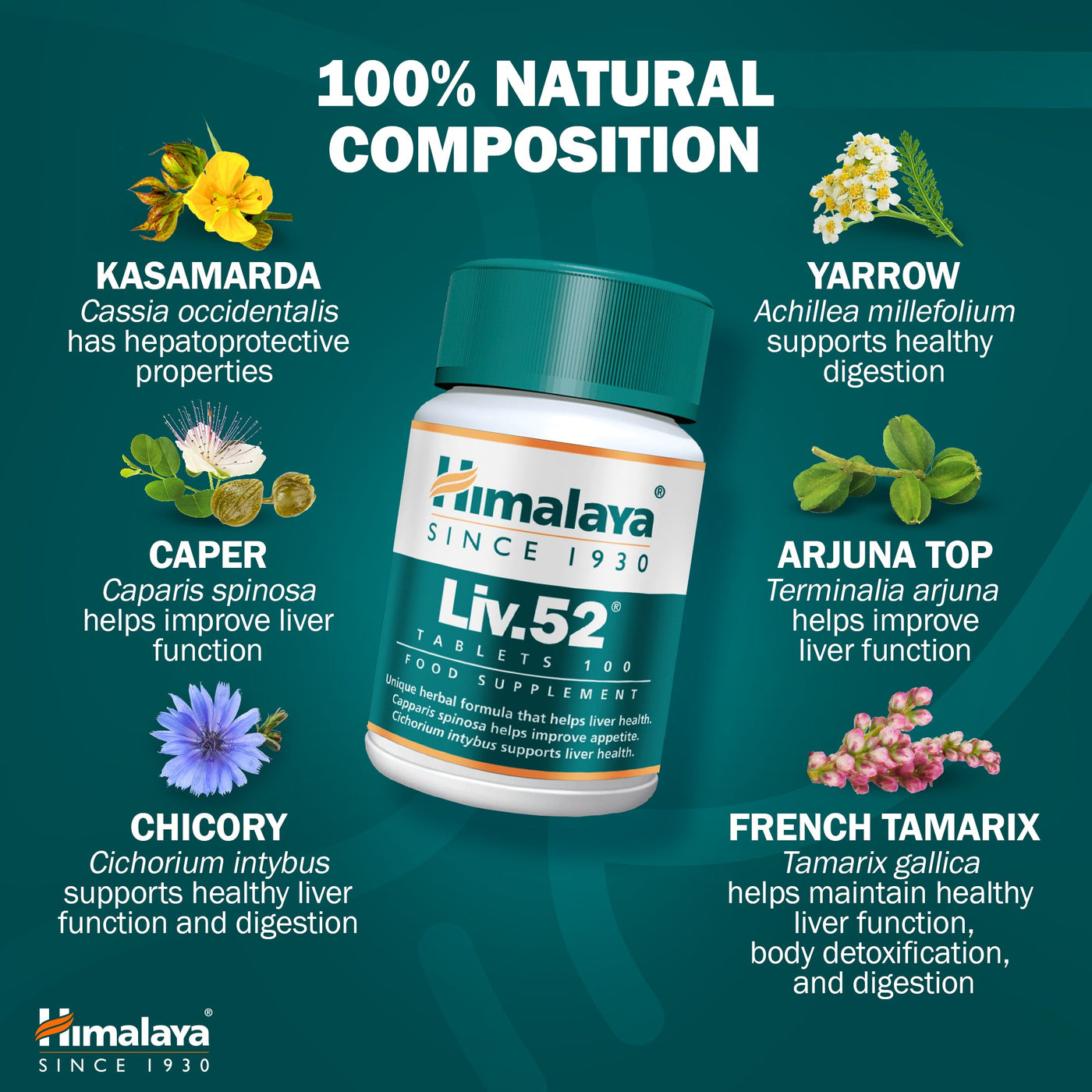 Himalaya Liv.52 - 100 Tablets-4