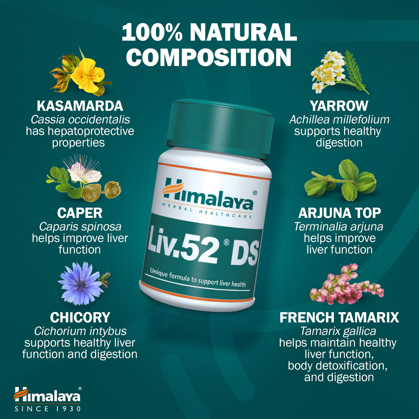 Himalaya Liv.52 DS - 60 Tablets-4