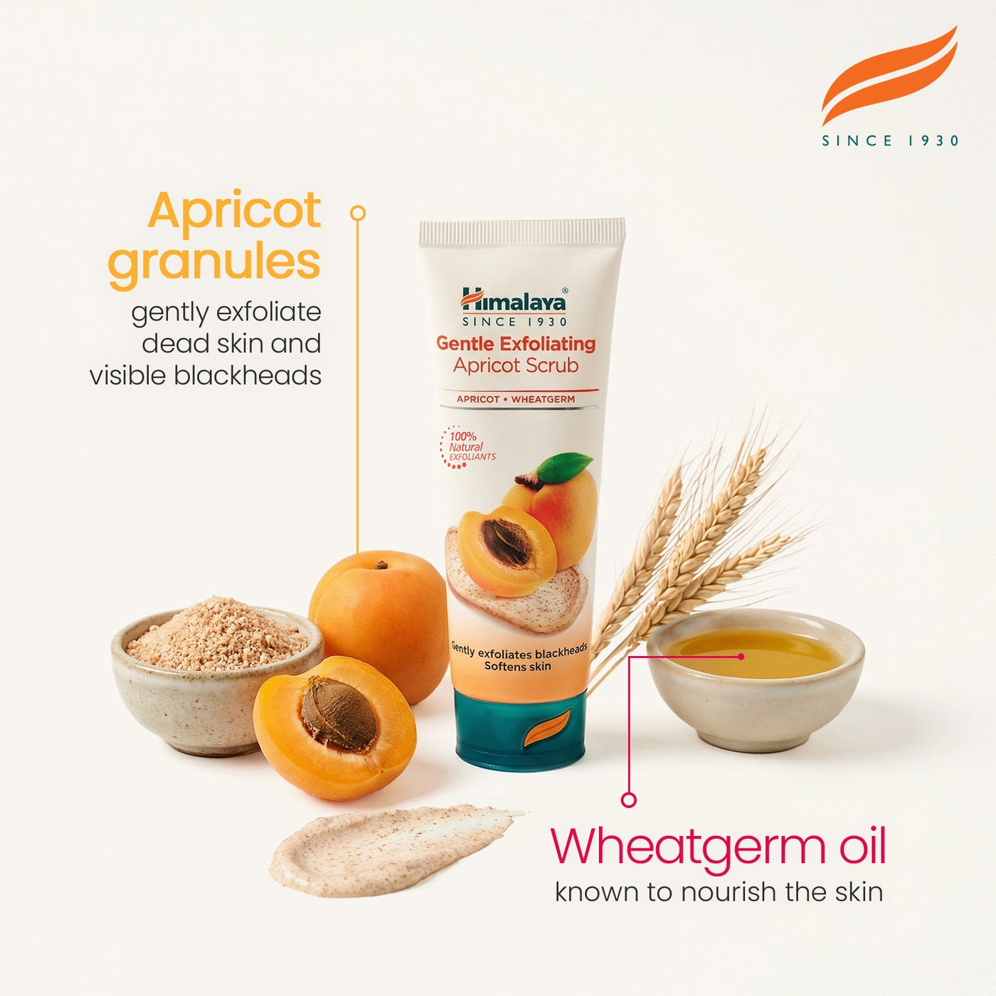 Himalaya Gentle Exfoliating Apricot Scrub - 75ml-2