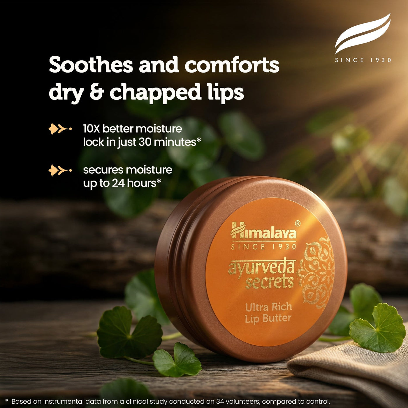 Himalaya AYURVEDA SECRETS ULTRA RICH LIP BUTTER-1