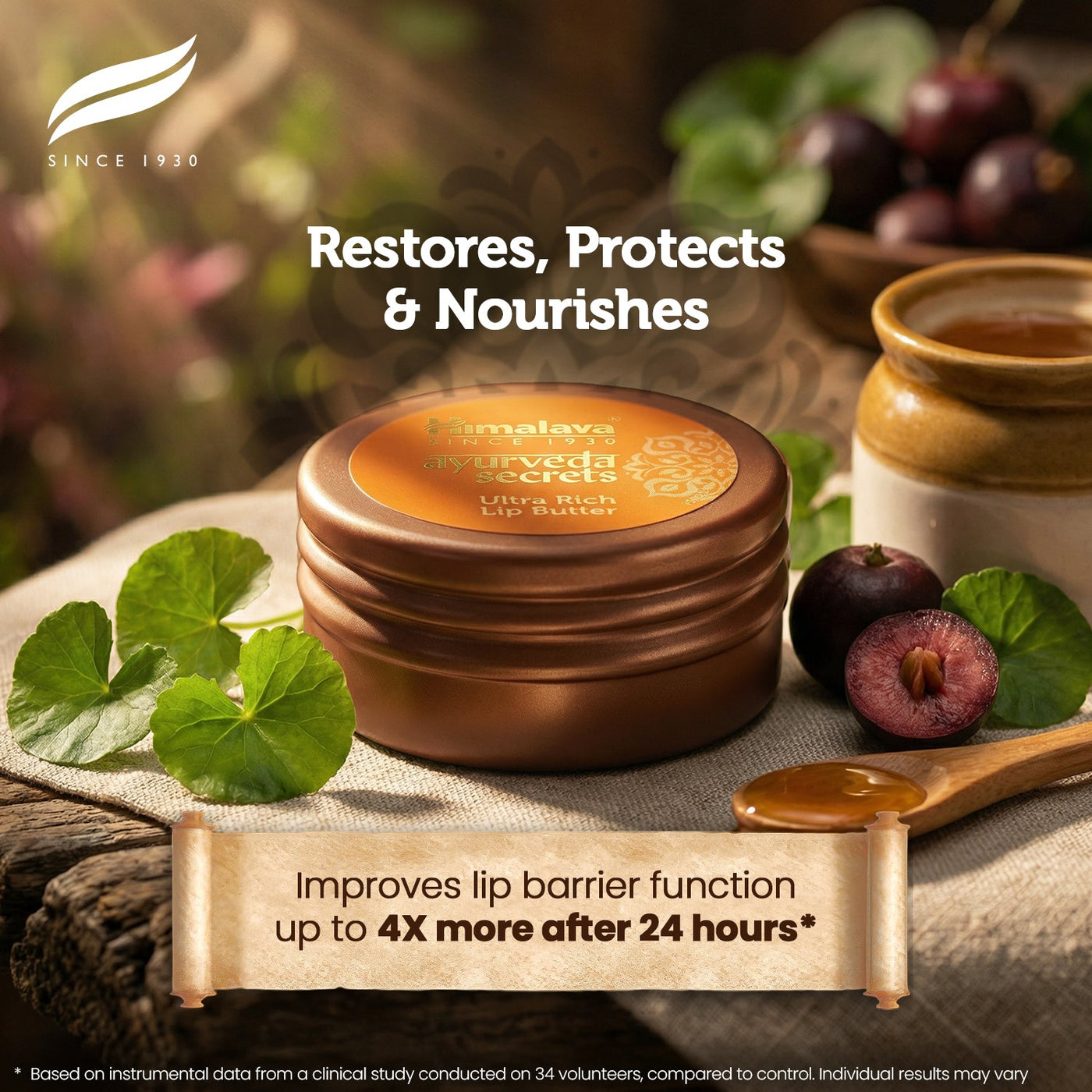Himalaya AYURVEDA SECRETS ULTRA RICH LIP BUTTER-2