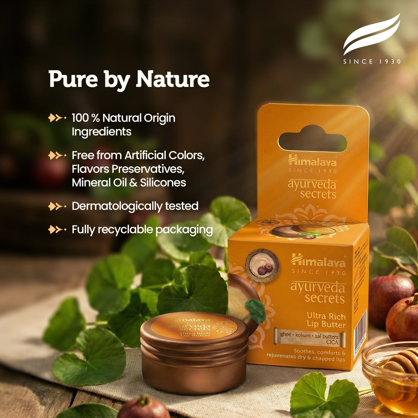 Himalaya AYURVEDA SECRETS ULTRA RICH LIP BUTTER-3