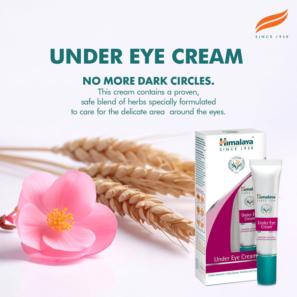 Himalaya Under Eye Cream - 15ml-2