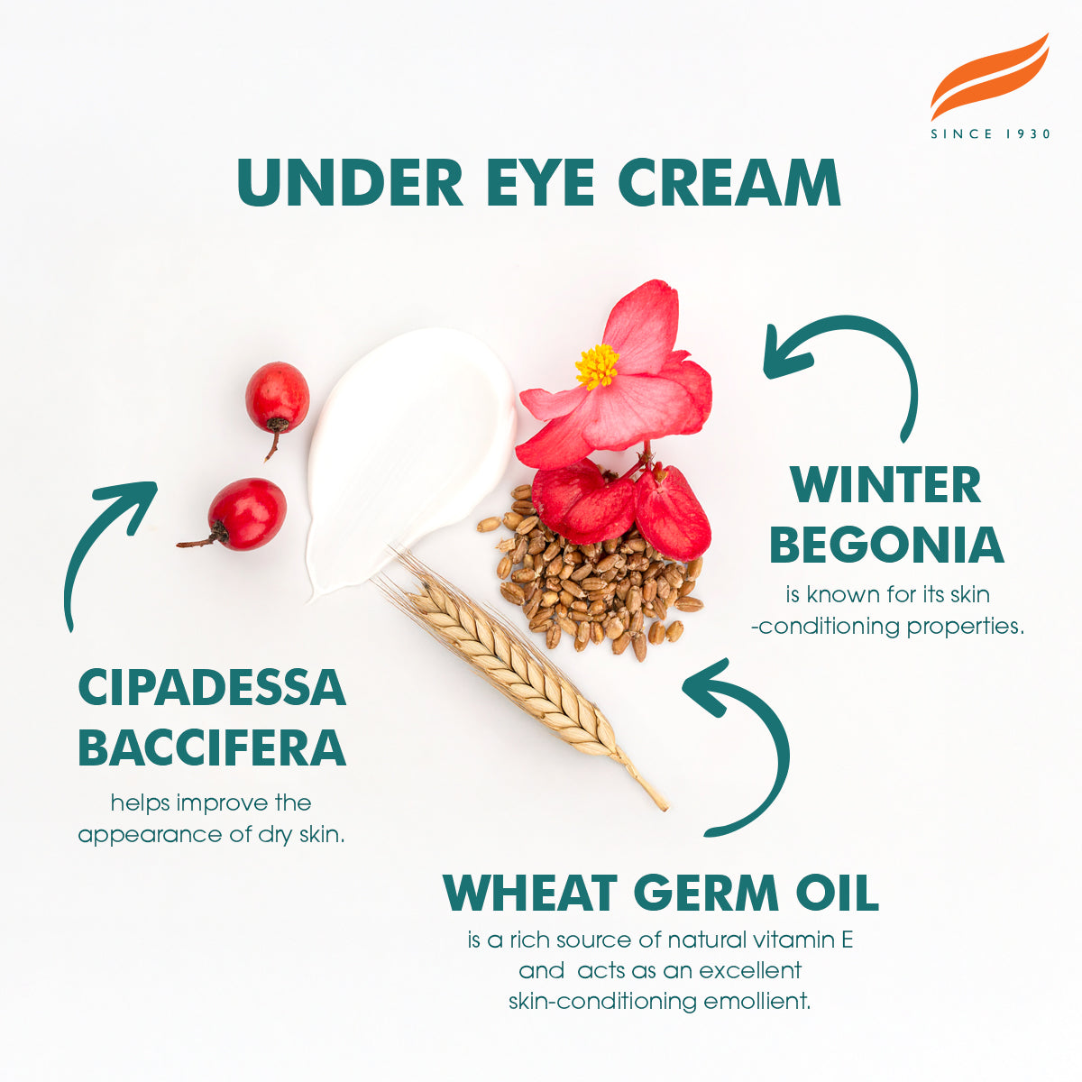 Himalaya Under Eye Cream - 15ml-3