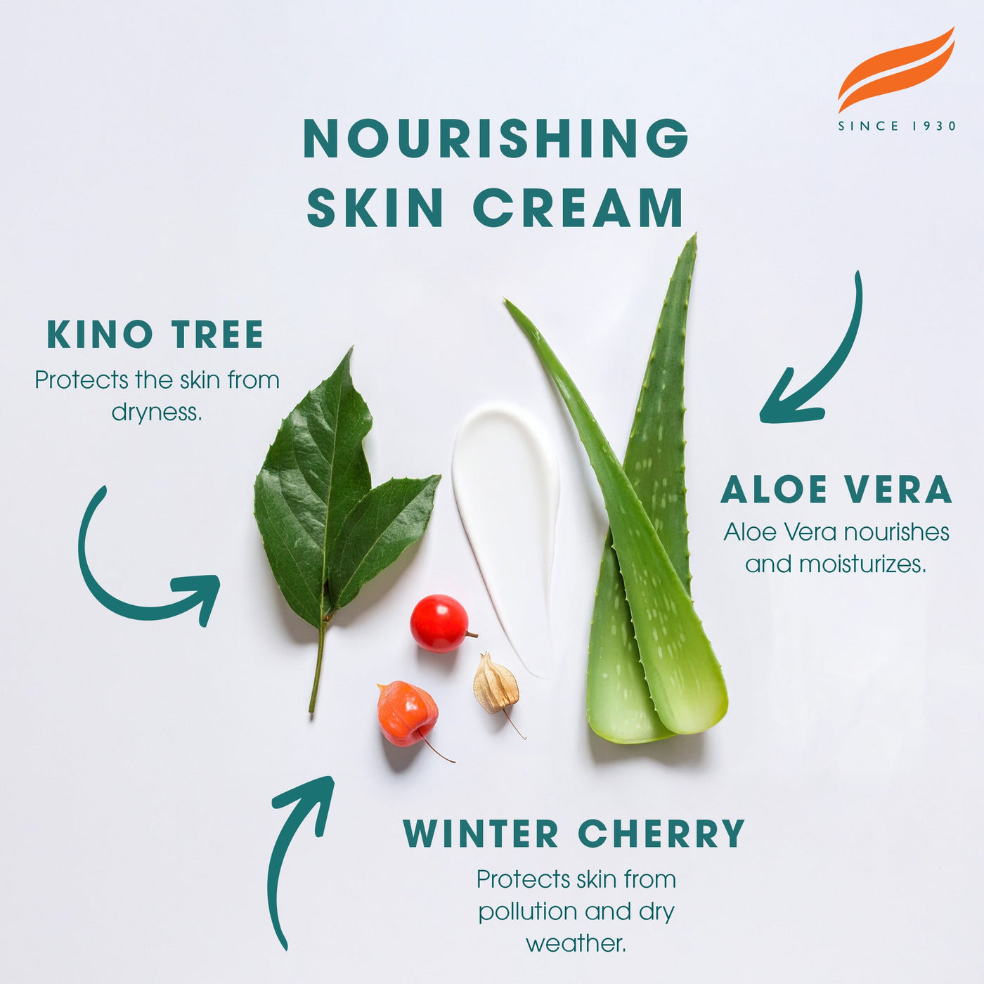 Himalaya Nourishing Skin Cream-4