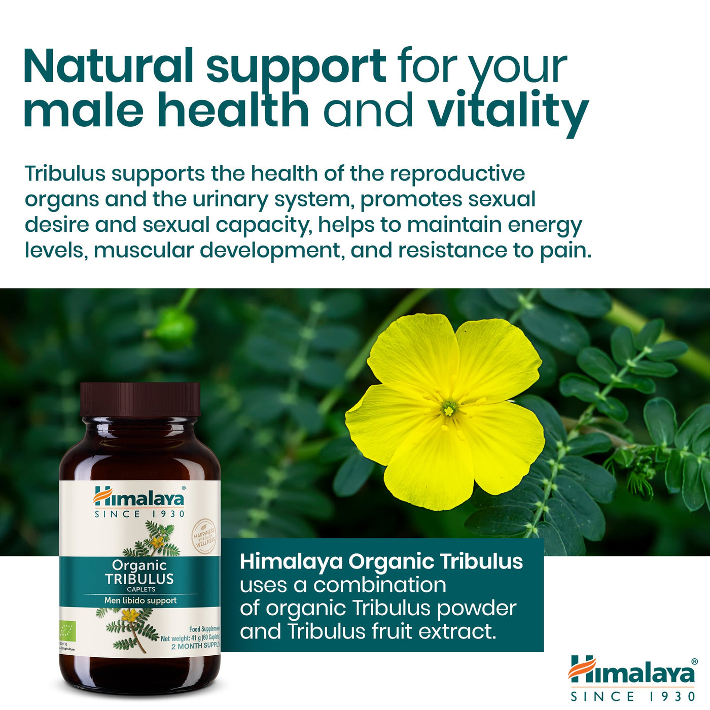 Himalaya Organic Tribulus (Gokshura)-4