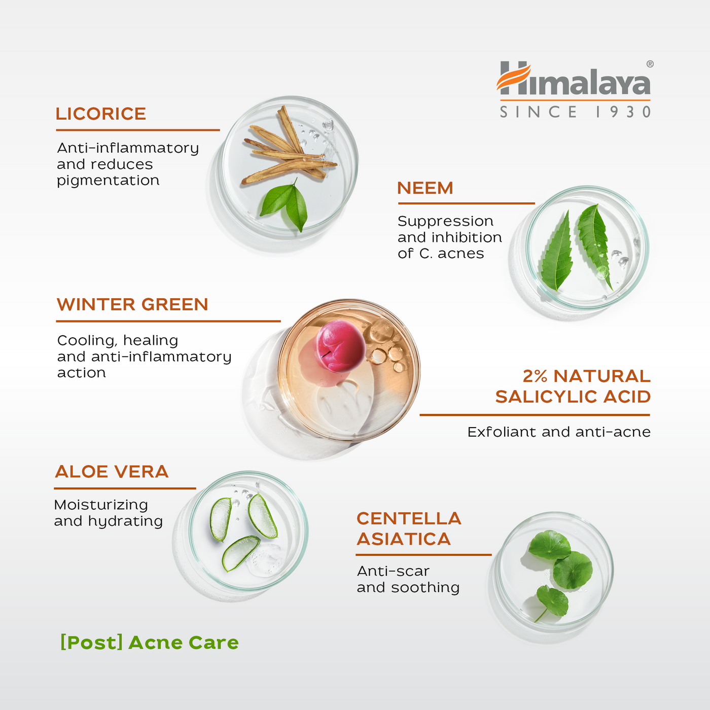 Himalaya Acne Clear+ Scar Removal Serum-3