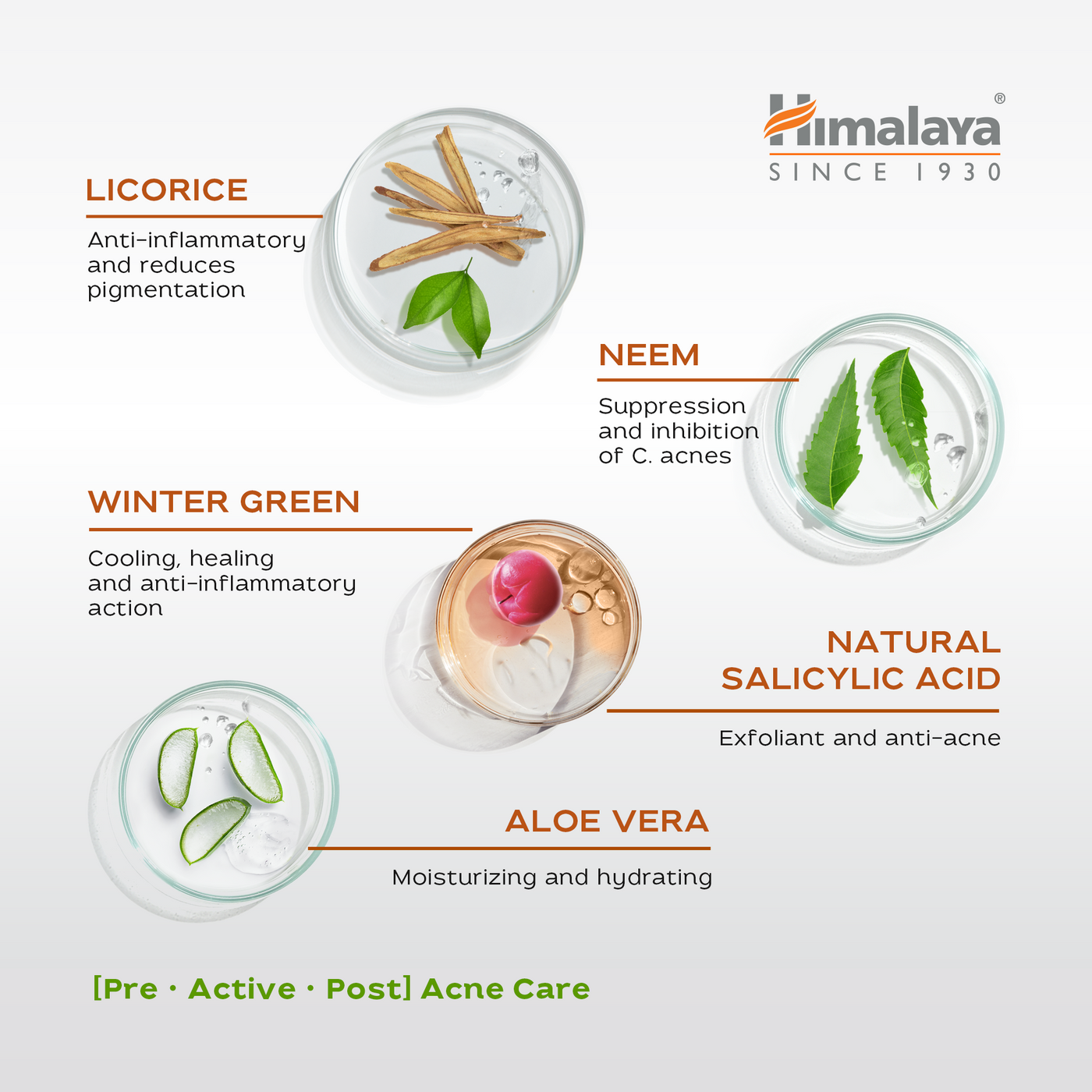 Himalaya Acne Clear+ Moisturizing Gel-3