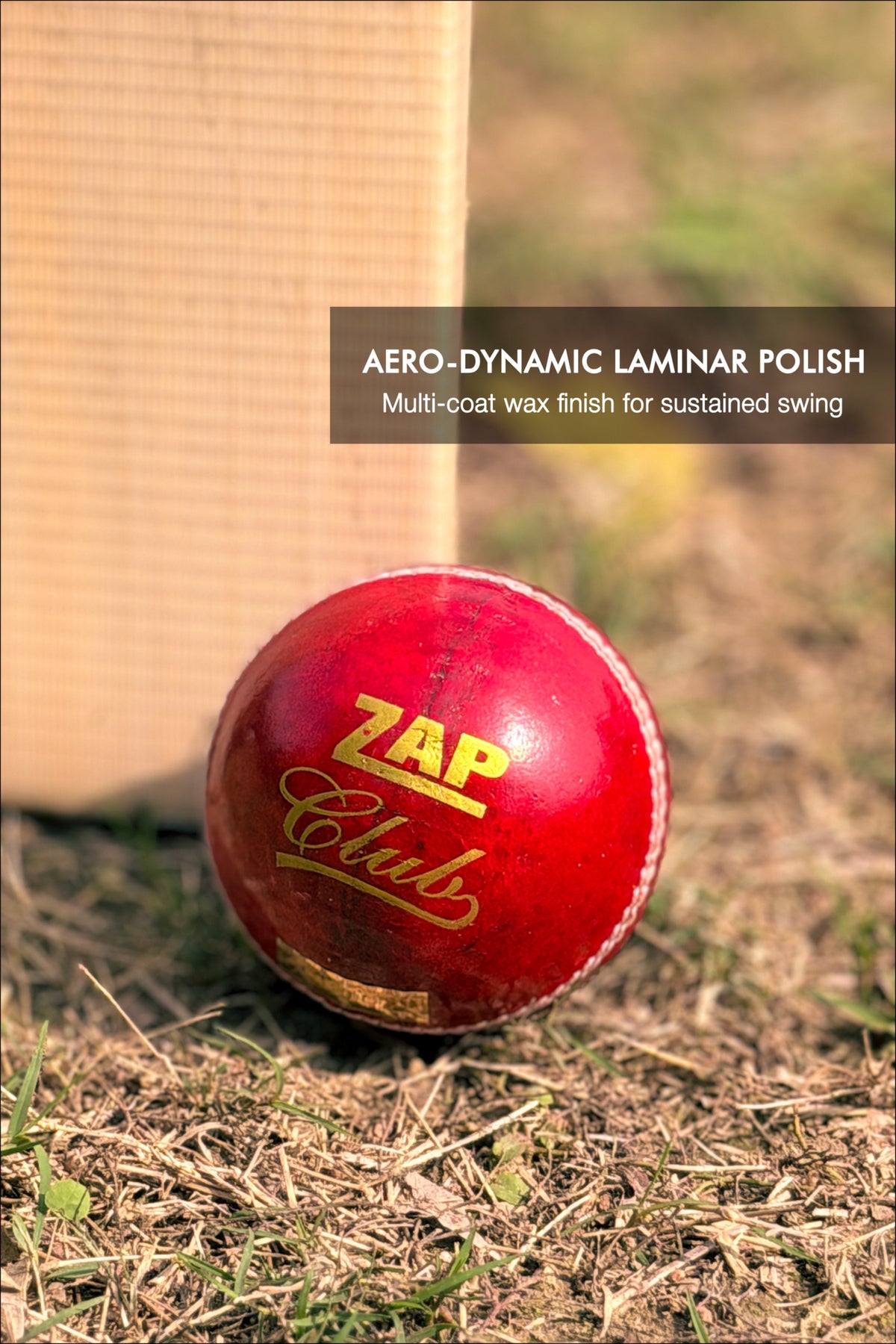 Balle de Cricket en Cuir ZAP Club