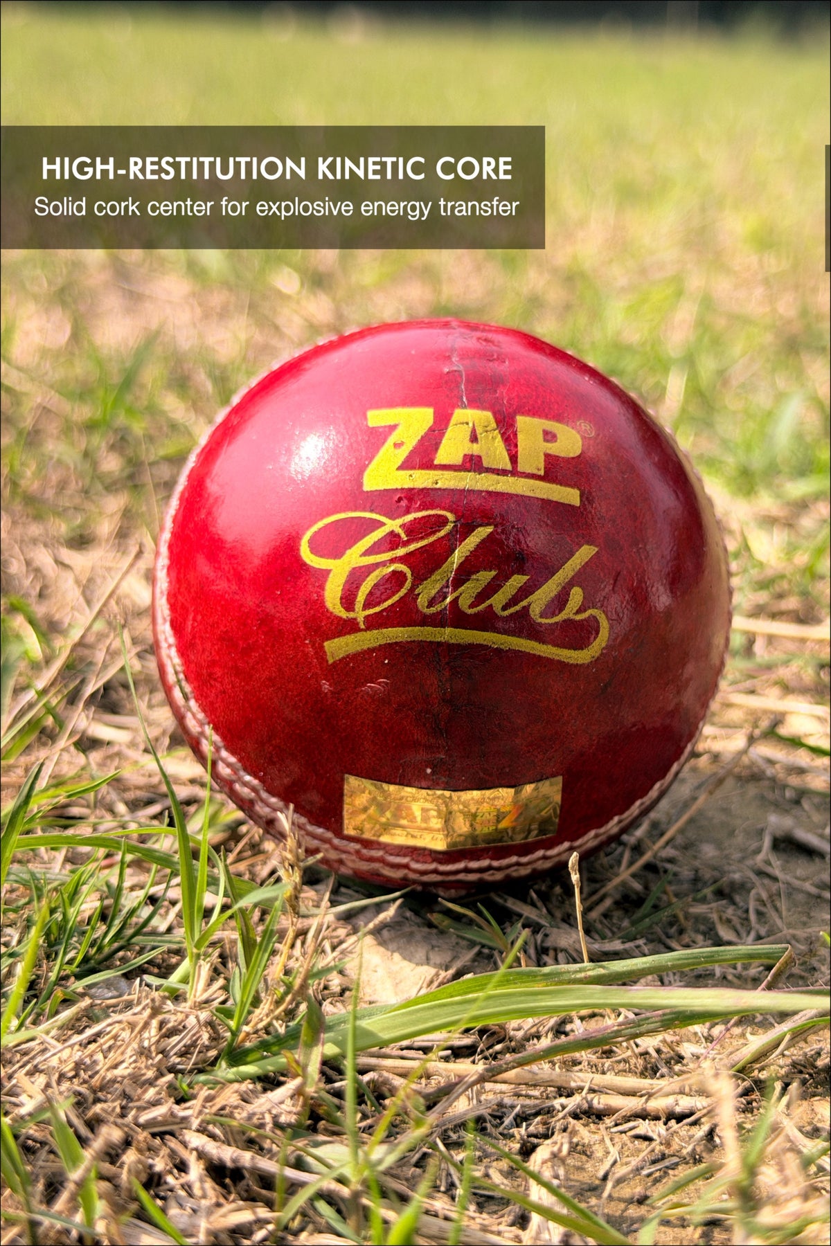 Balle de Cricket en Cuir ZAP Club