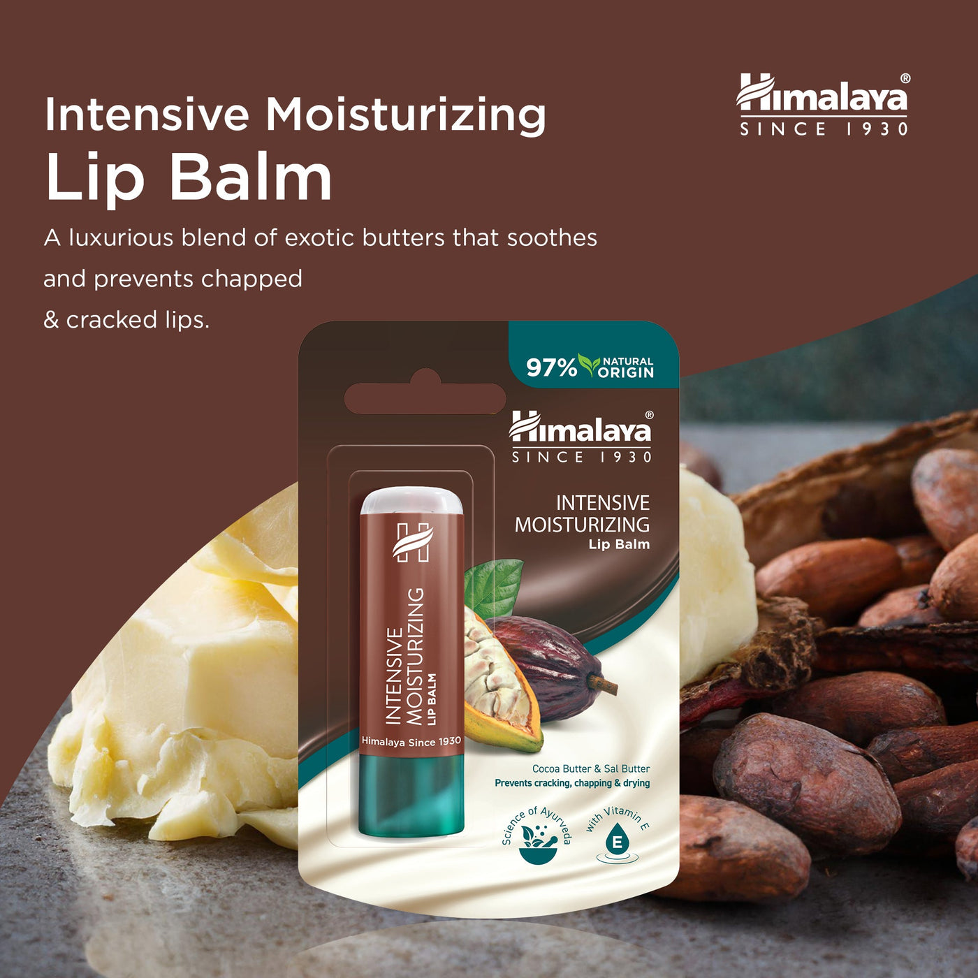 Himalaya Intensive Moisturizing Cocoa Butter Lip Balm - 4.5 g-2