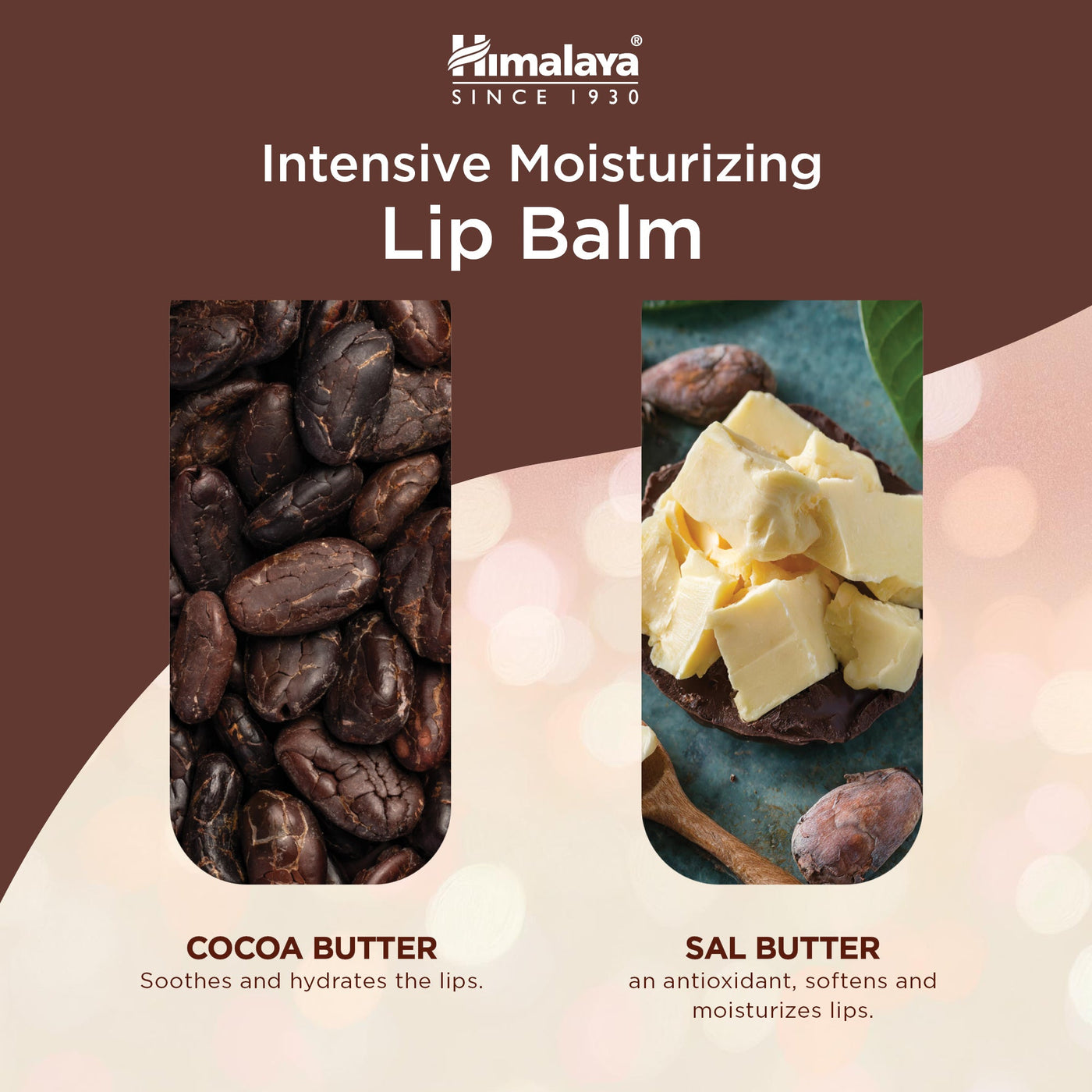 Himalaya Intensive Moisturizing Cocoa Butter Lip Balm - 4.5 g-3