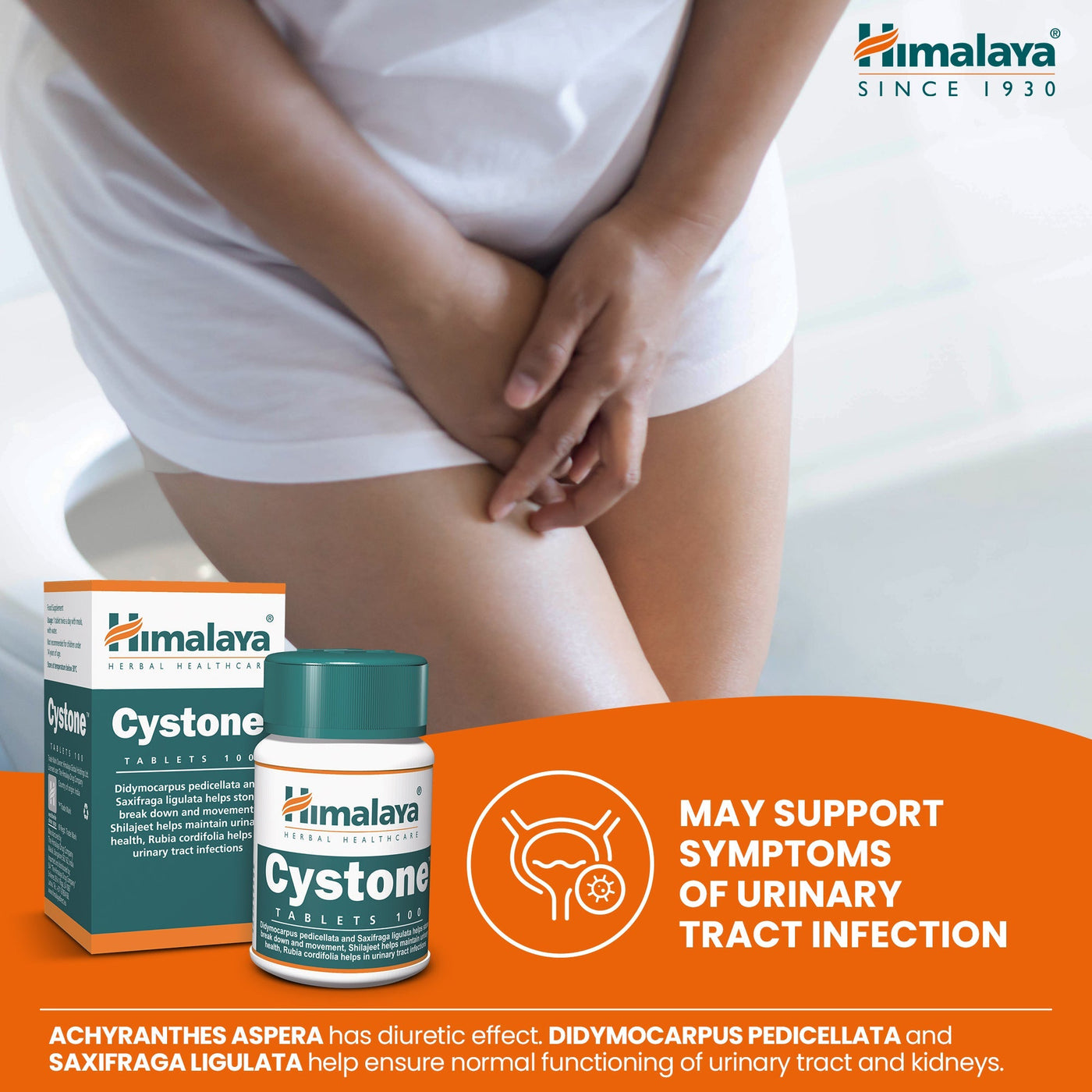 Himalaya Cystone - 100 Tablets-2