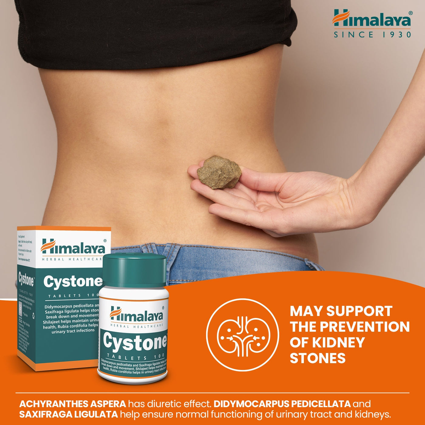 Himalaya Cystone - 100 Tablets-1