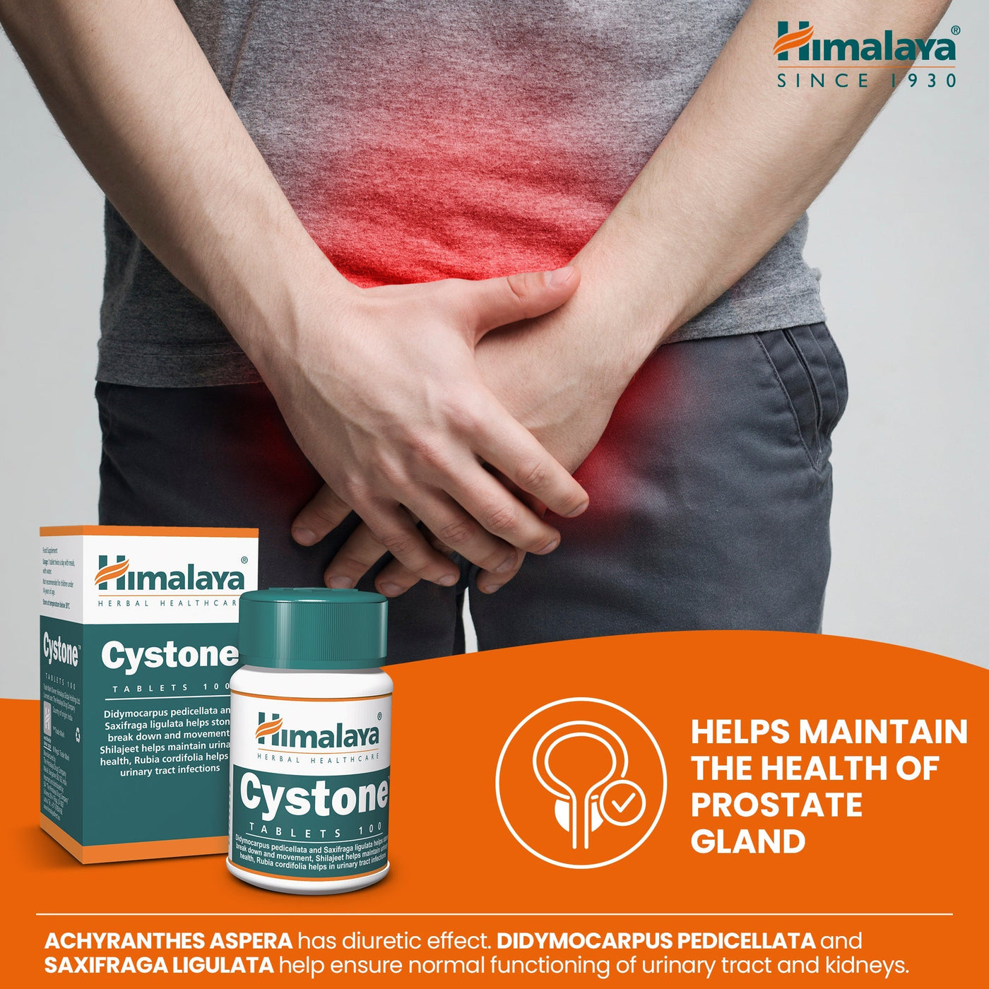 Himalaya Cystone - 100 Tablets-3