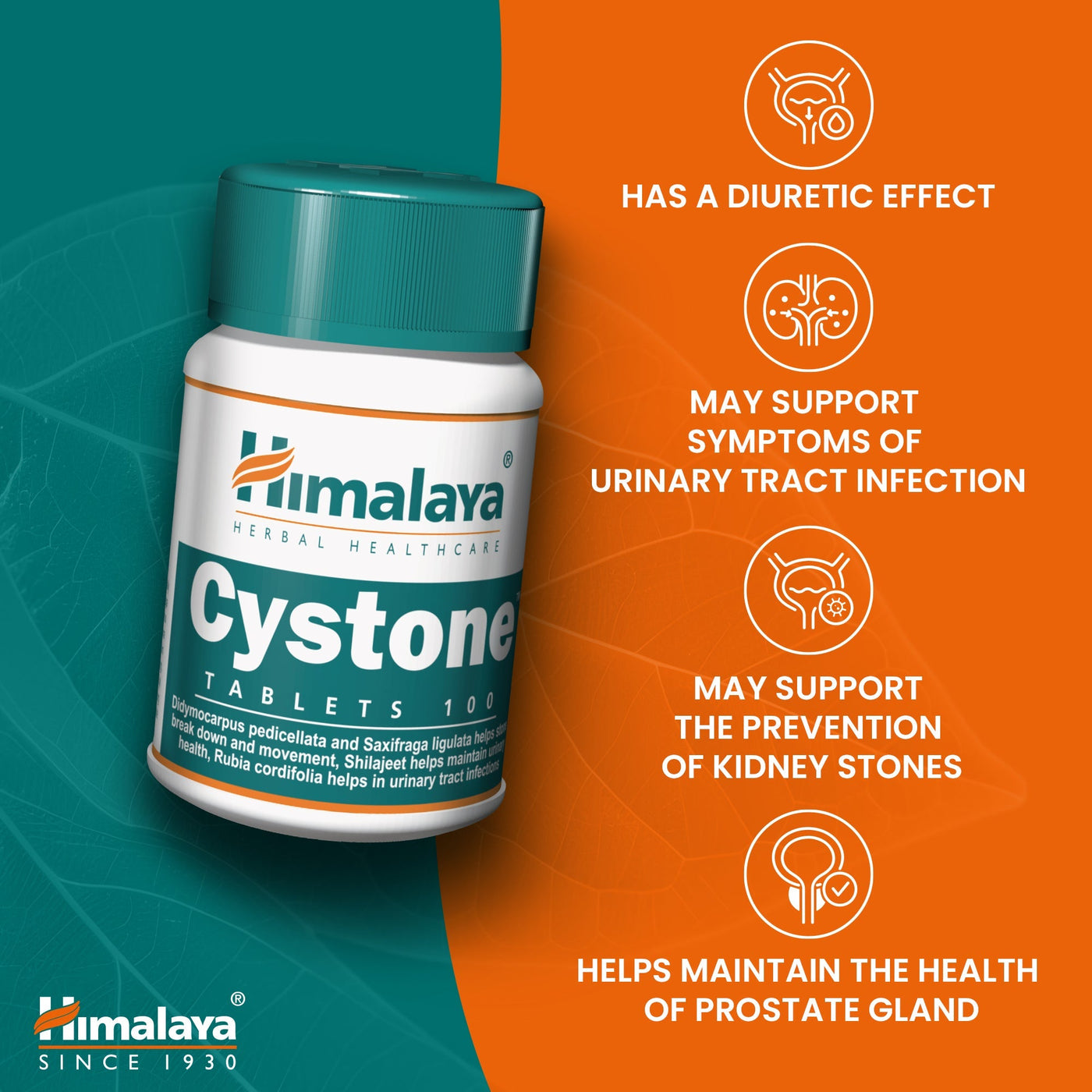 Himalaya Cystone - 100 Tablets-4