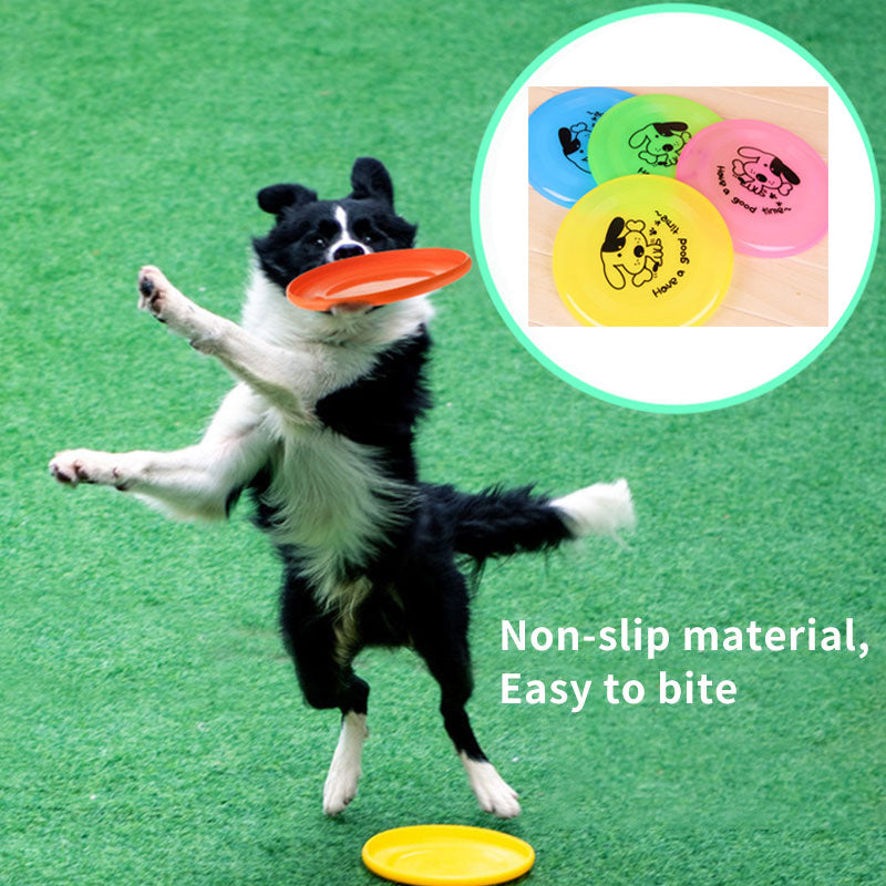 Frisbee Interactif pour Chien