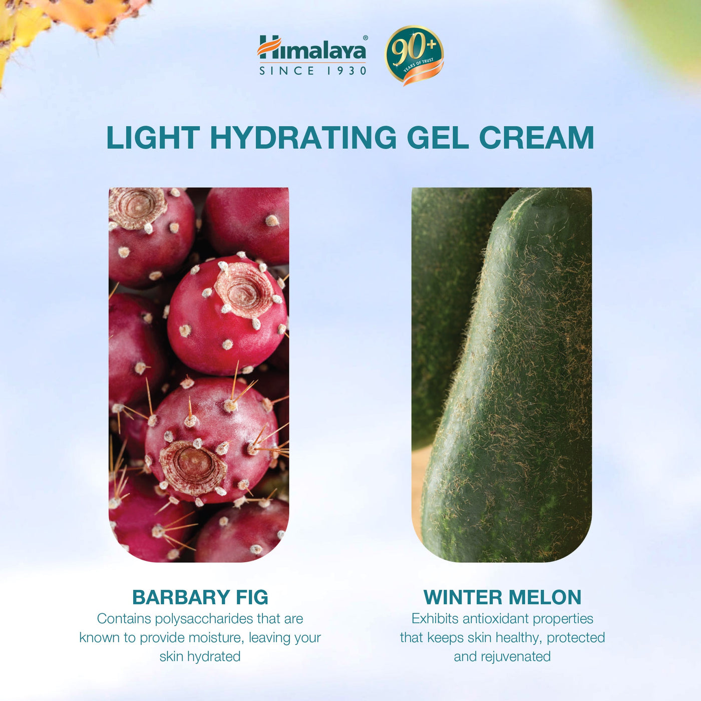 Himalaya Light Hydrating Gel Cream - 50g-3