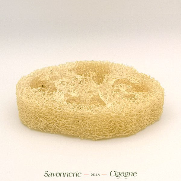 Loofah