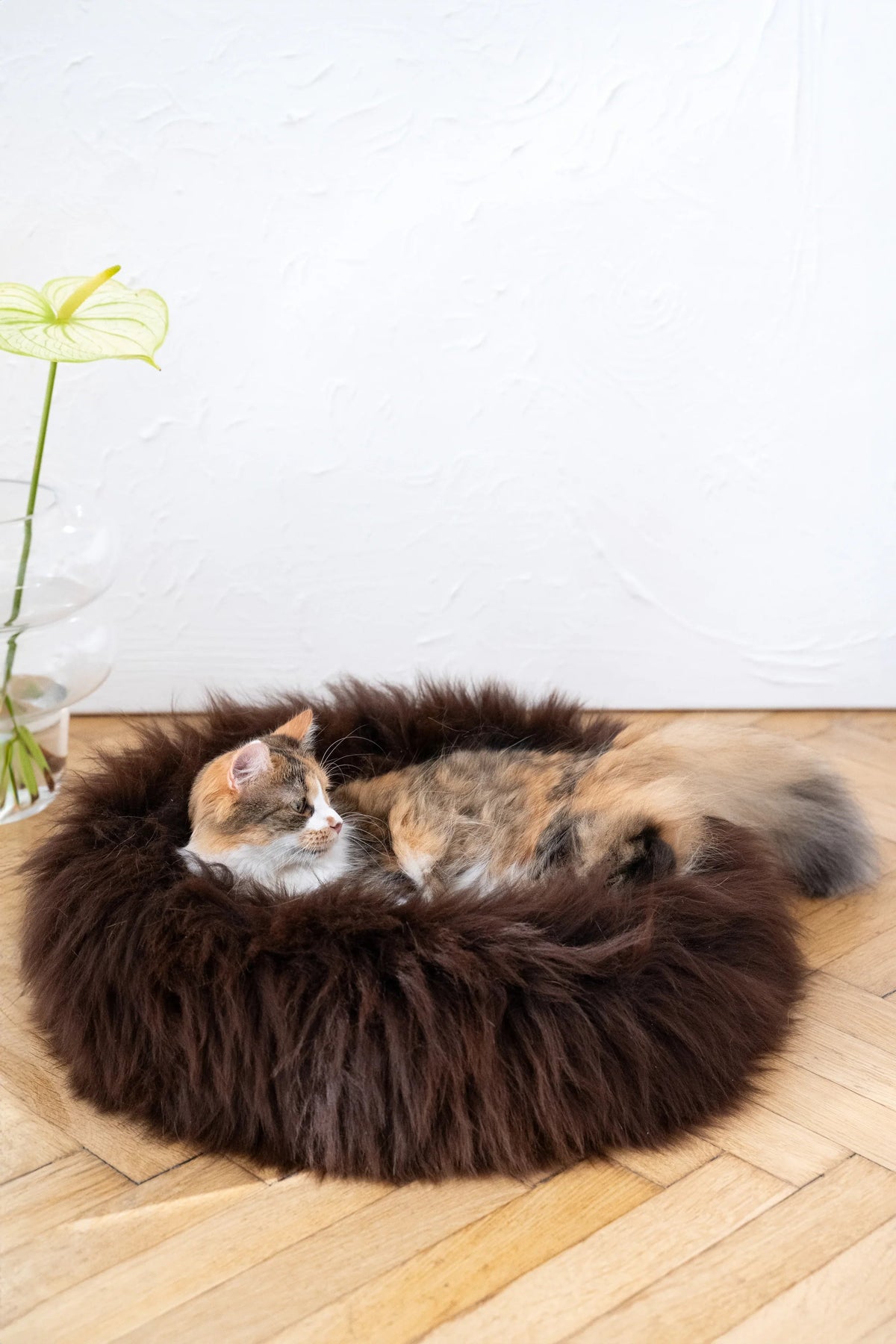 Lit rond pour animaux en peau de mouton naturelle - Marron