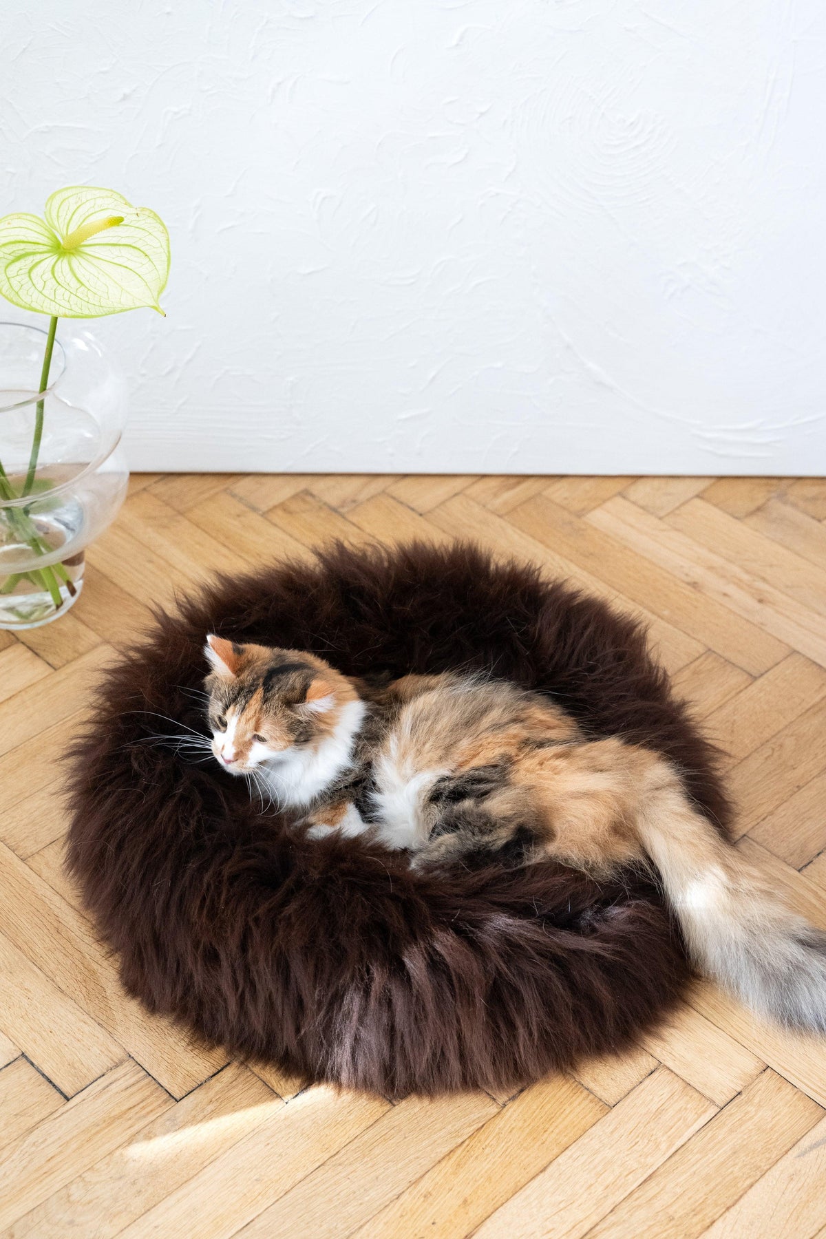 Lit rond pour animaux en peau de mouton naturelle - Marron
