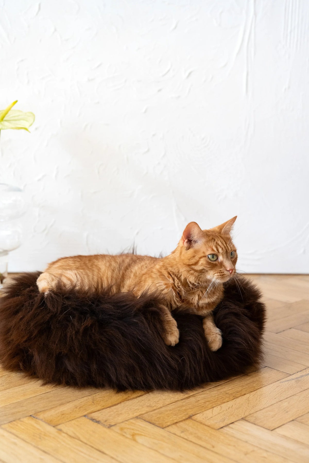 Lit rond pour animaux en peau de mouton naturelle - Marron