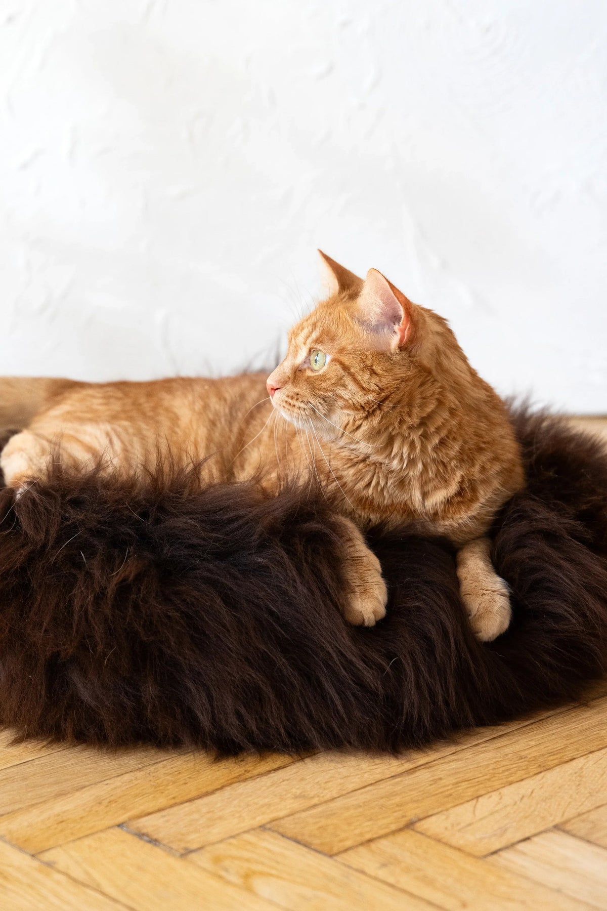 Lit rond pour animaux en peau de mouton naturelle - Marron