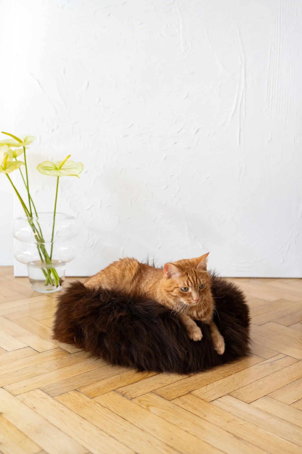 Lit rond pour animaux en peau de mouton naturelle - Marron