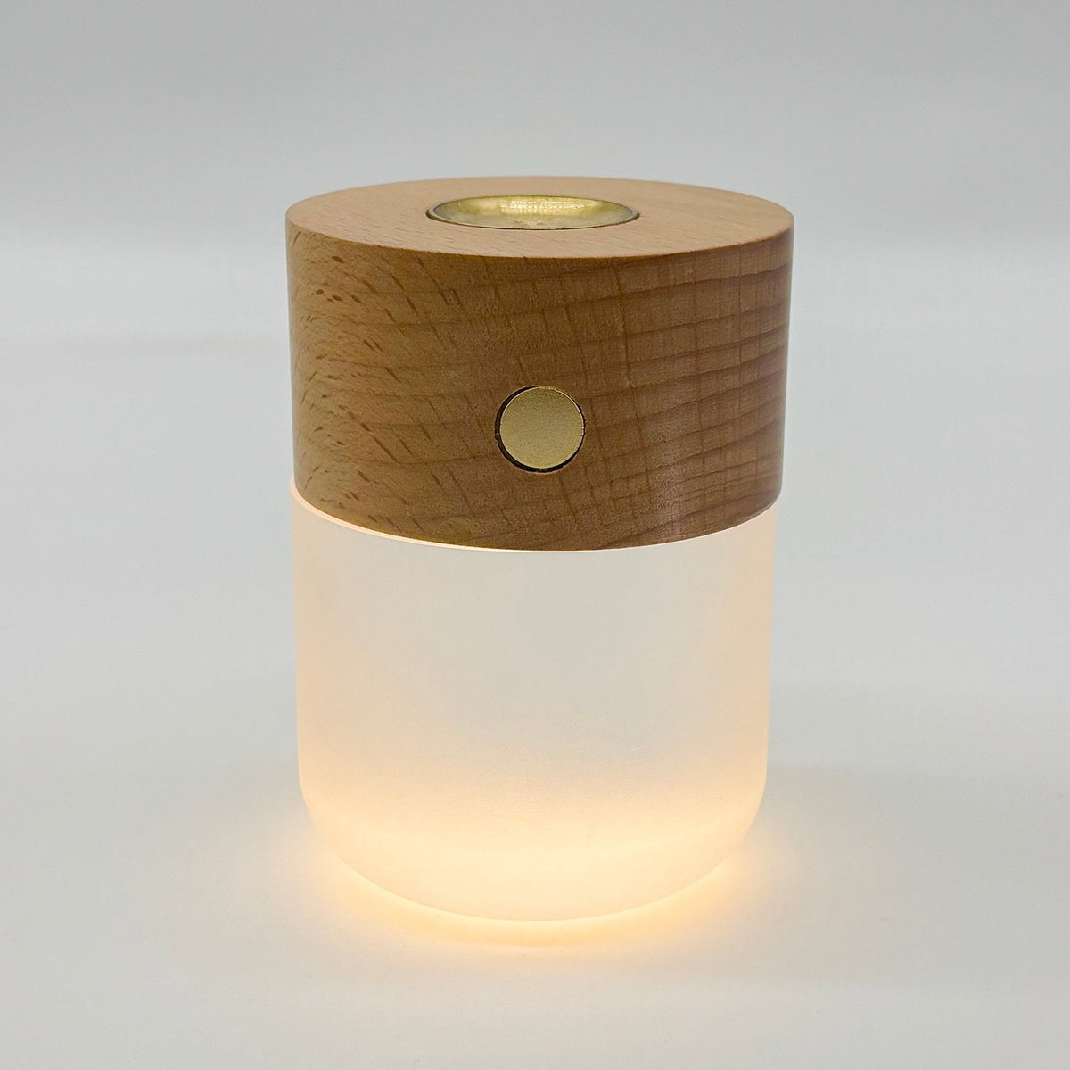 Moonlight Diffuser | Elegant Waterless Essential Oil & LED Light