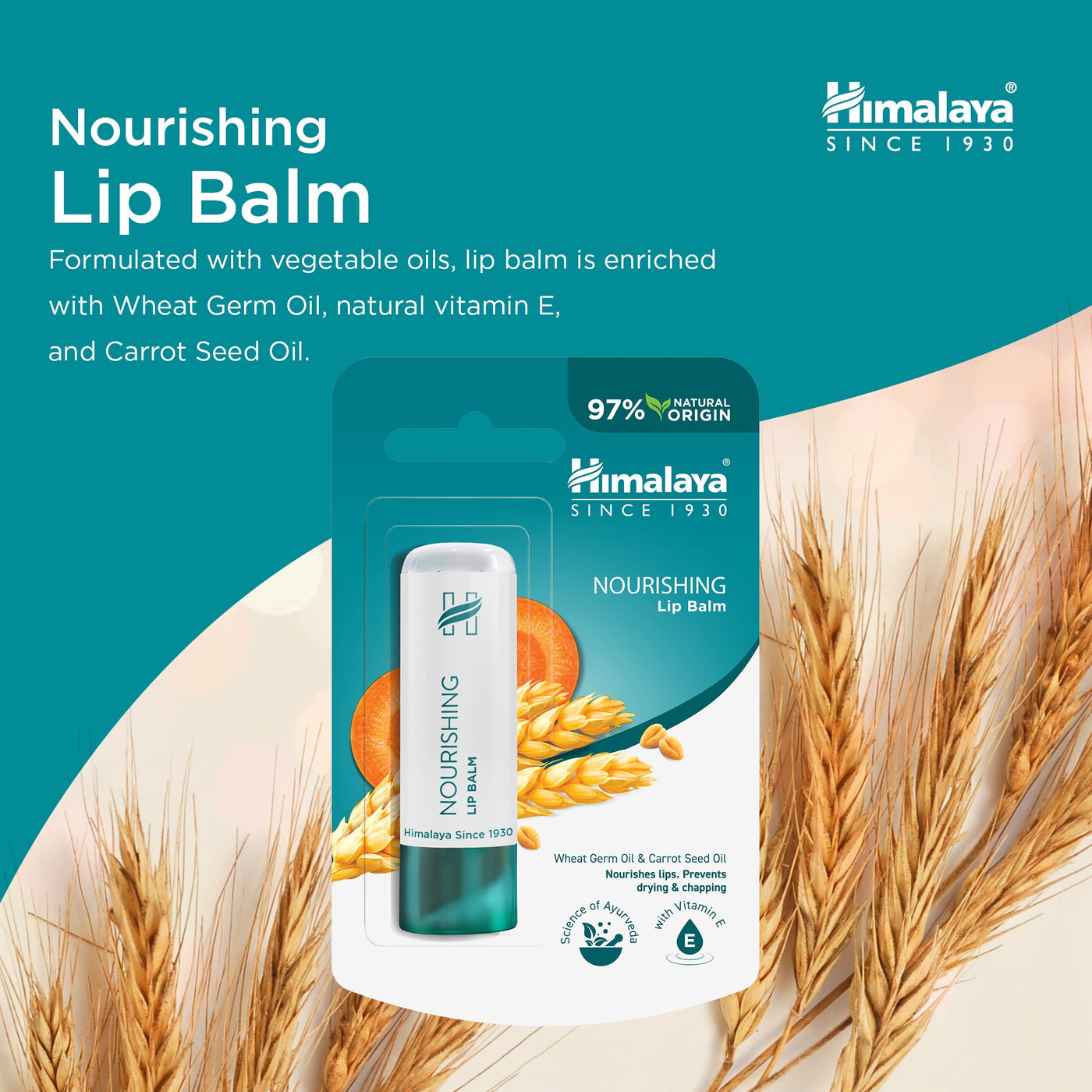 Himalaya Nourishing Lip Balm - 4.5g-2