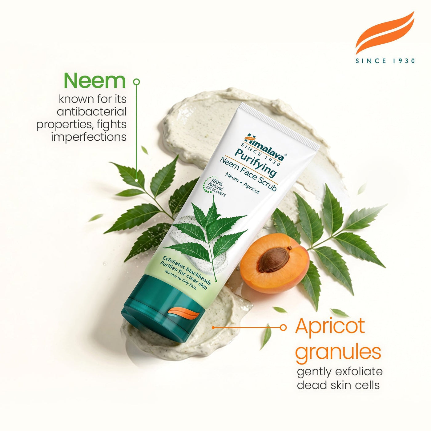 Himalaya Purifying Neem Scrub - 75ml-2