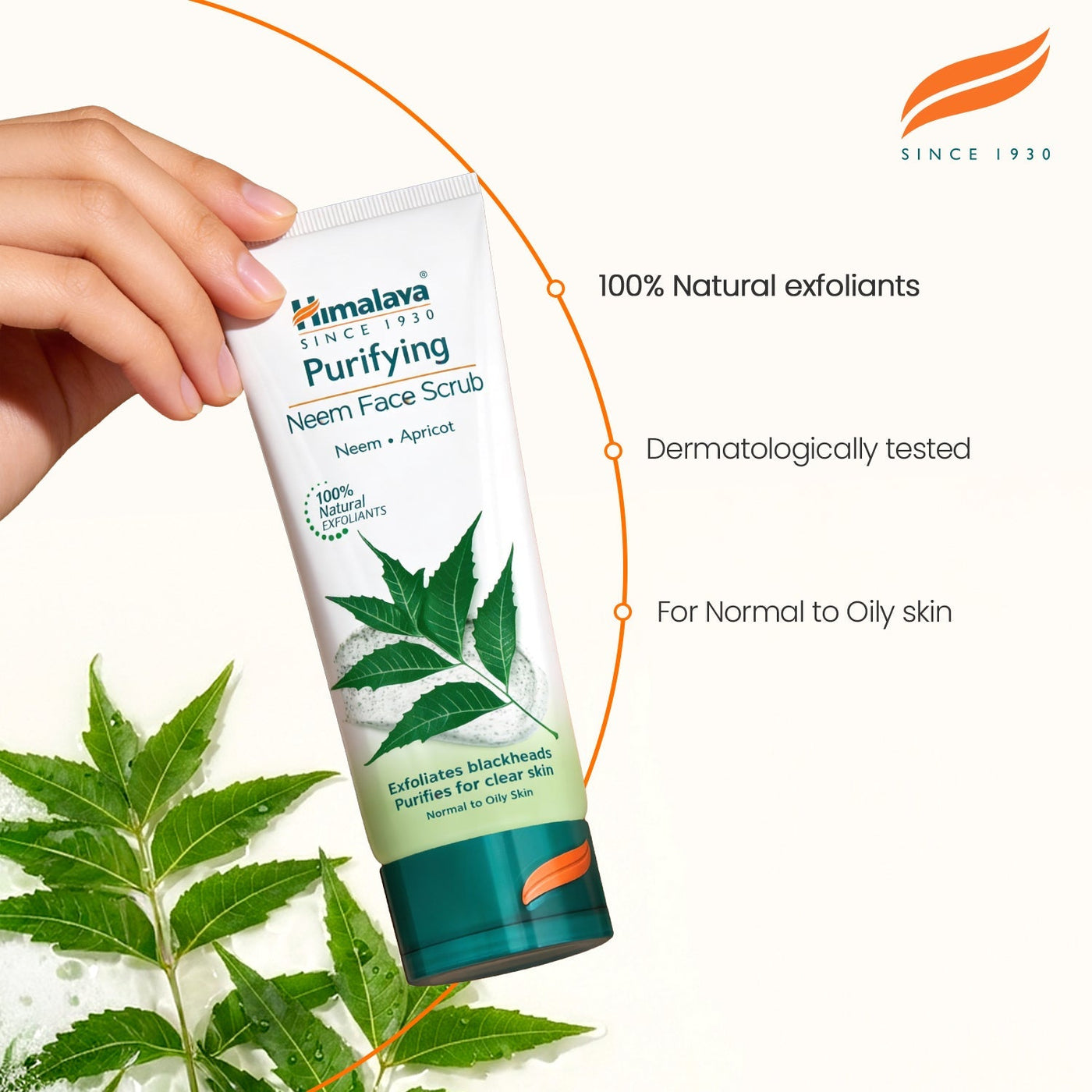 Himalaya Purifying Neem Scrub - 75ml-3