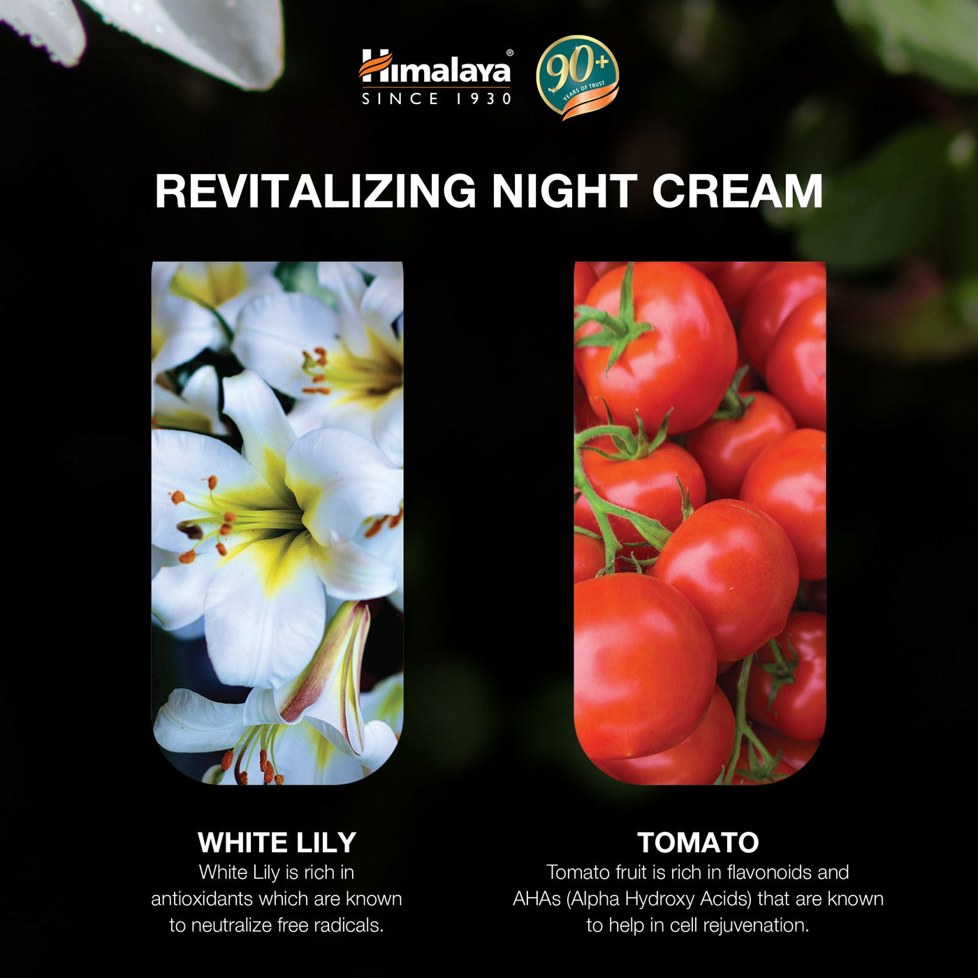 Himalaya Revitalizing Night Cream - 50g-3