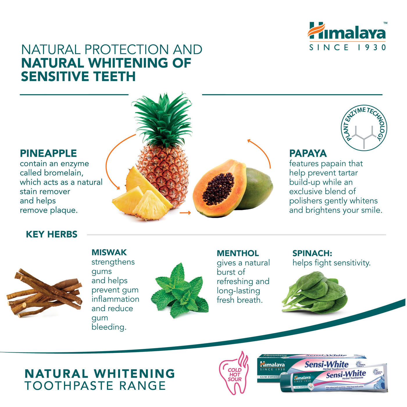 Himalaya Gum Expert Herbal Toothpaste - Sensi White - 75ml-4