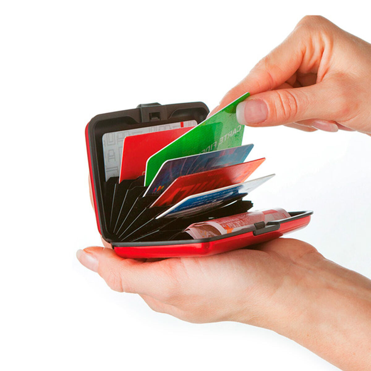Card Holder-3