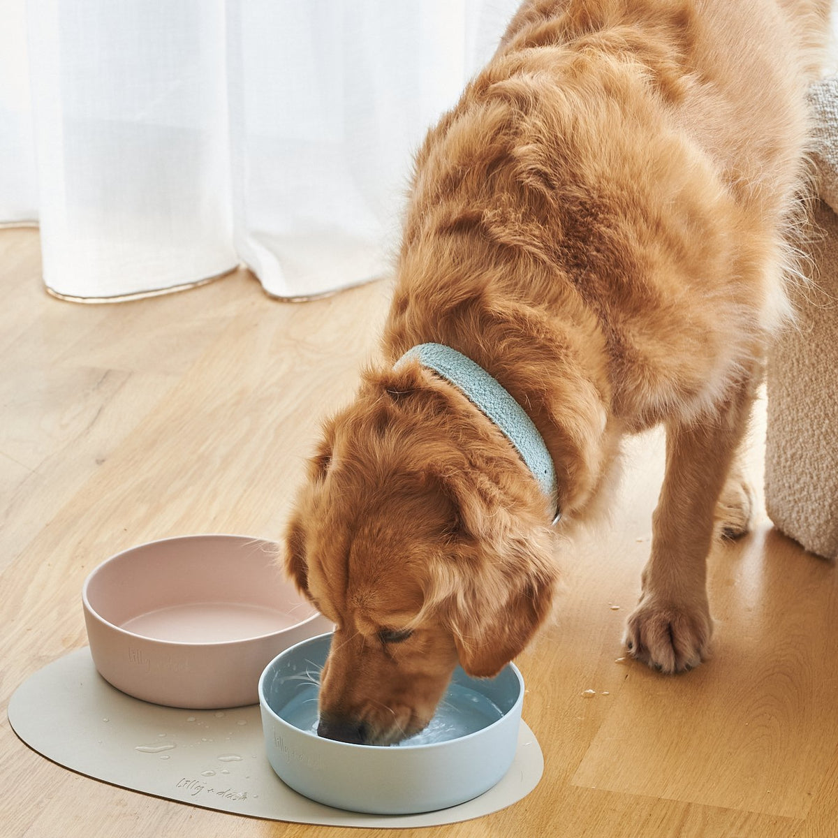 Gamelles pour animaux de compagnie