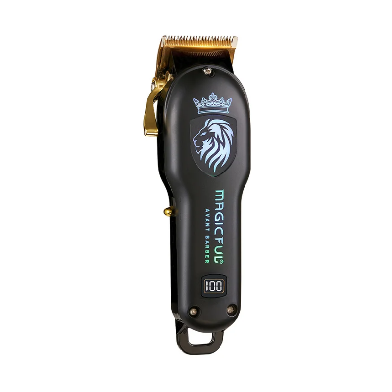 Tondeuse à Cheveux Professionnelle Rechargeable et Tondeuse à Barbe Électrique