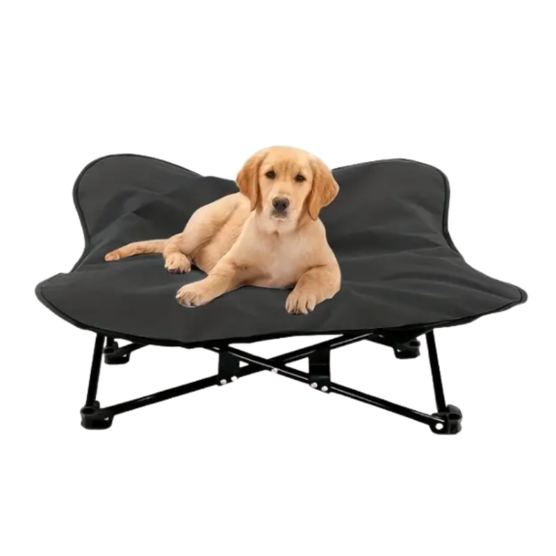 Lit surélevé portable pour chien